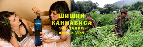прущие грибы Нея