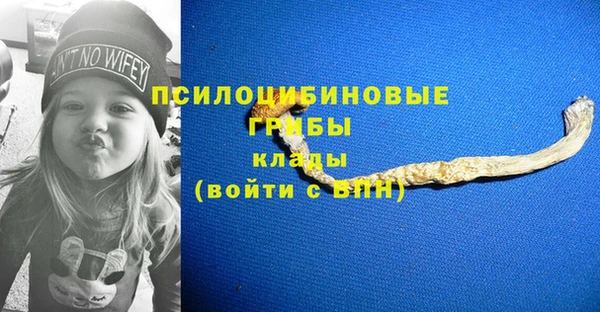 прущие грибы Новокубанск