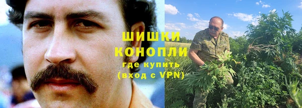 прущие грибы Нея