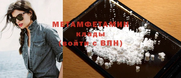 прущие грибы Новокубанск