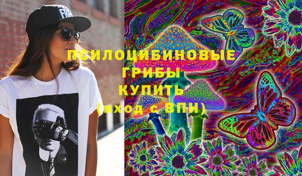 прущие грибы Новокубанск