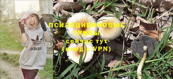 первитин Новозыбков