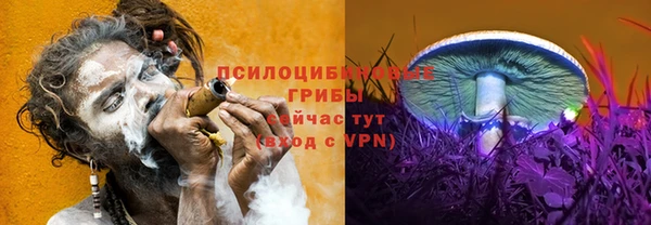 стафф Нефтекумск