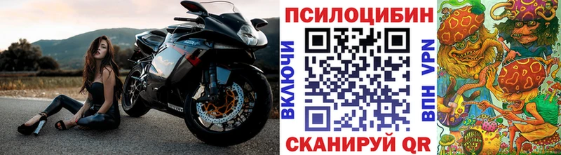 наркота  Кинель  Псилоцибиновые грибы Cubensis 