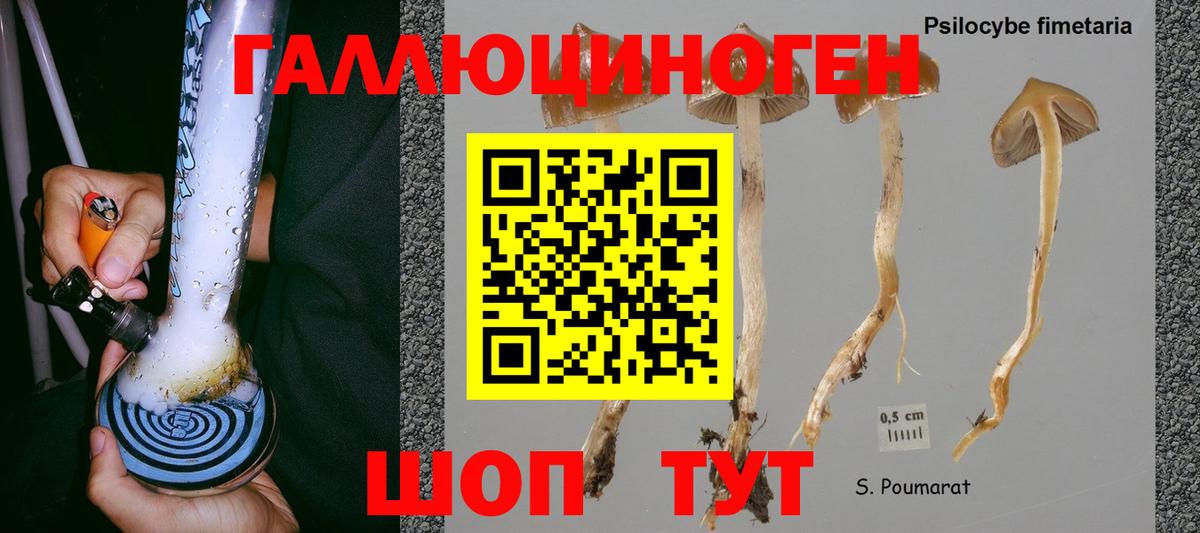 Галлюциногенные грибы GOLDEN TEACHER Кинель